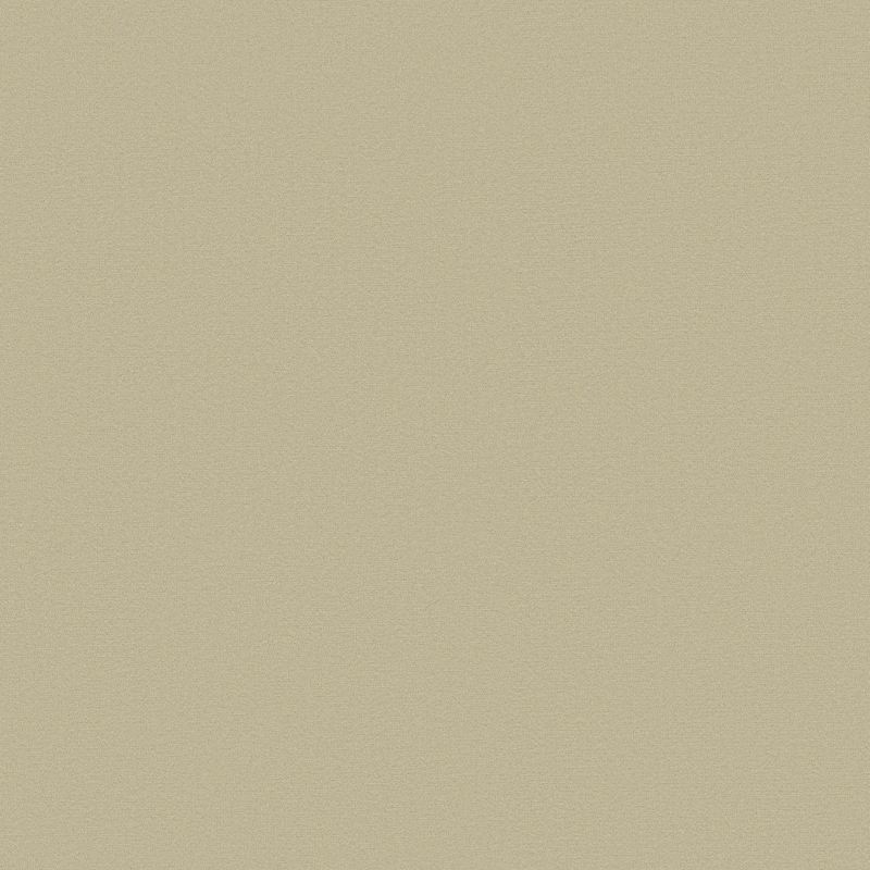 TKCH-09 mushroom